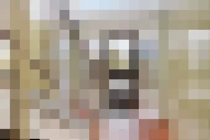 Jacob van Campenlaan 40 Leiden thumbnail 10