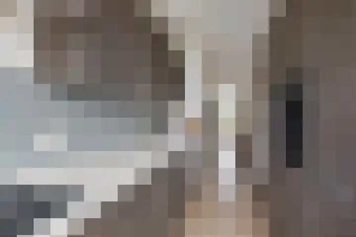 Jacob van Campenlaan 40 Leiden thumbnail 22