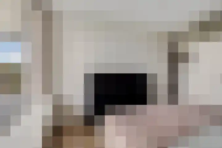 Jacob van Campenlaan 40 Leiden thumbnail 31