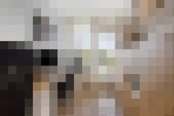 Jacob van Campenlaan 40 Leiden thumbnail 32