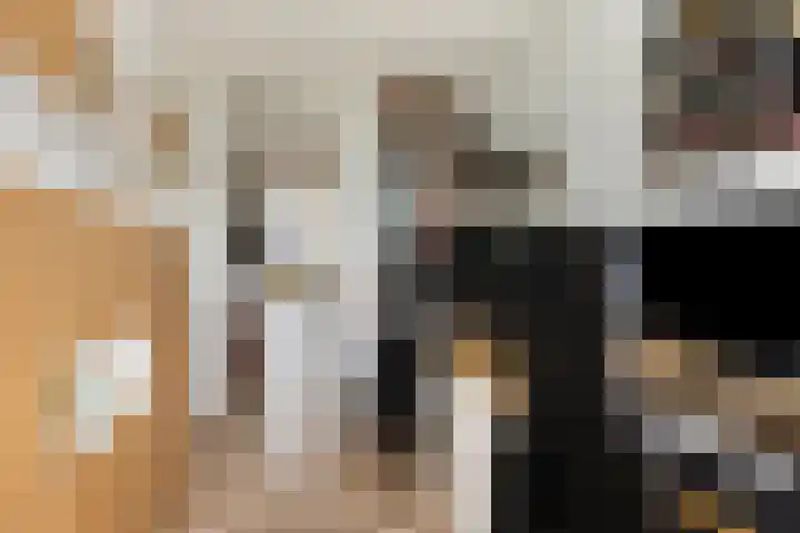 Jacob van Campenlaan 40 Leiden thumbnail 33