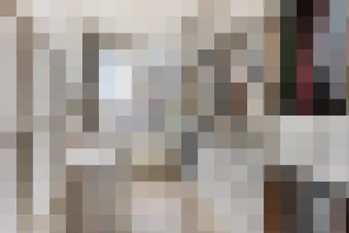 Jacob van Campenlaan 40 Leiden thumbnail 34