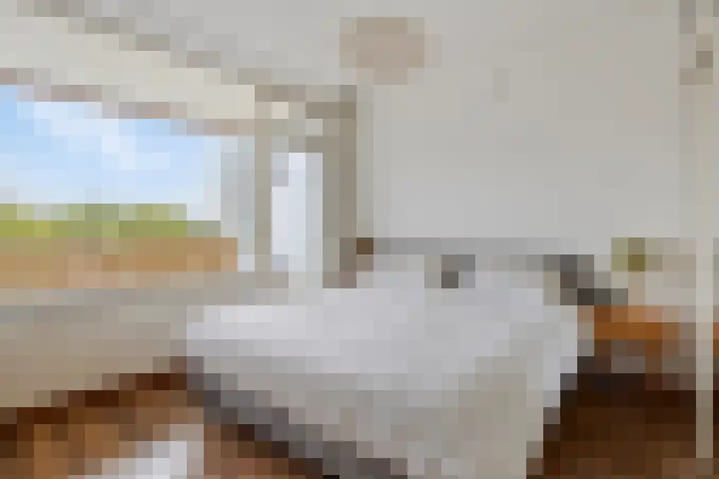 Jacob van Campenlaan 54 Leiden thumbnail 20