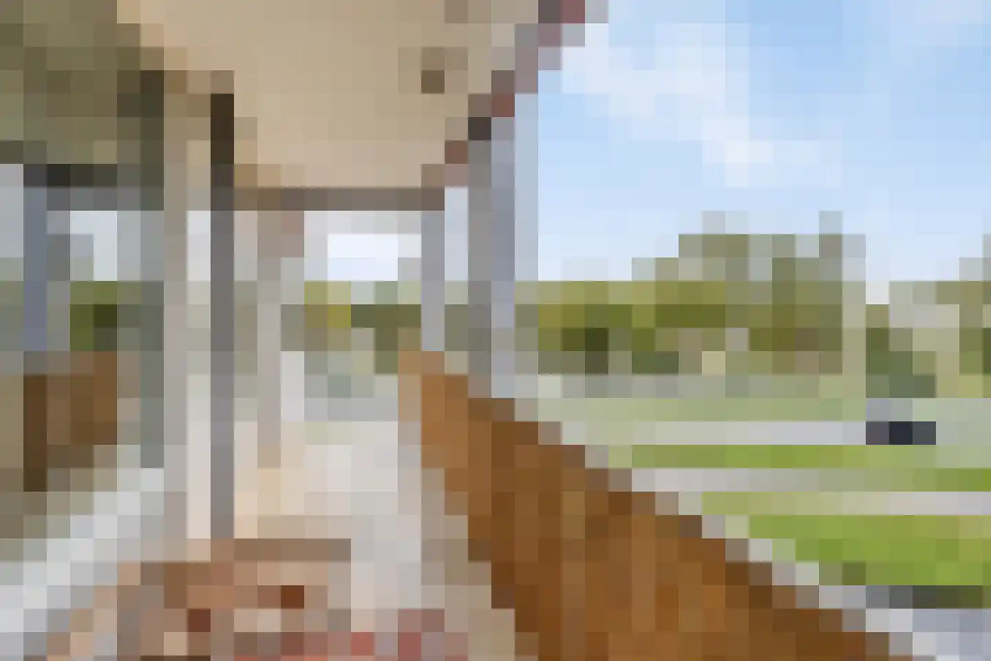 Jacob van Campenlaan 54 Leiden thumbnail 29