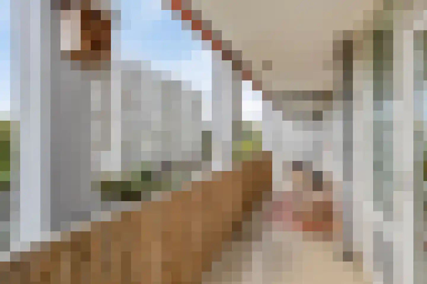 Jacob van Campenlaan 54 Leiden thumbnail 30