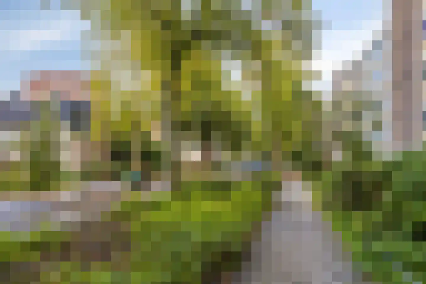 Jacob van Campenlaan 54 Leiden thumbnail 32