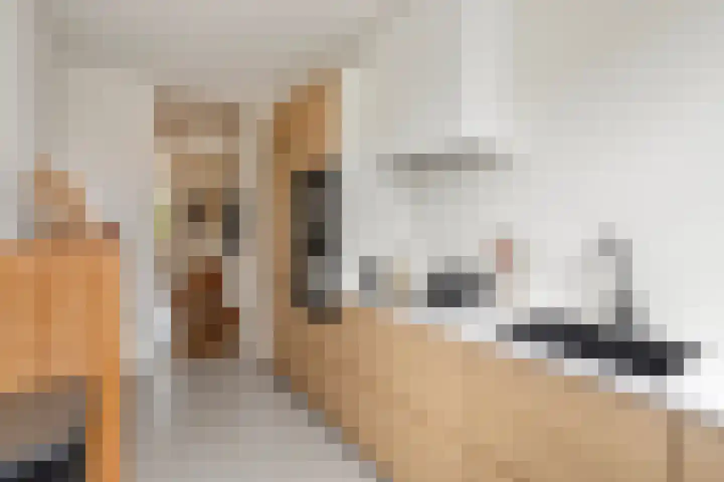 Jacob van Campenlaan 54 Leiden thumbnail 4