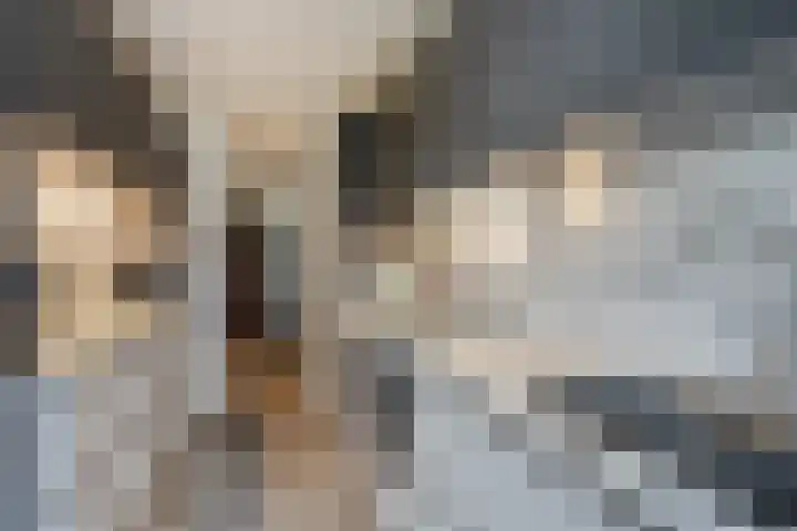 Jacob van Campenlaan 56 Leiden thumbnail 23