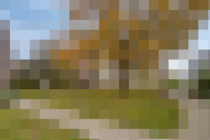 Jacob van Campenlaan 56 Leiden thumbnail 39