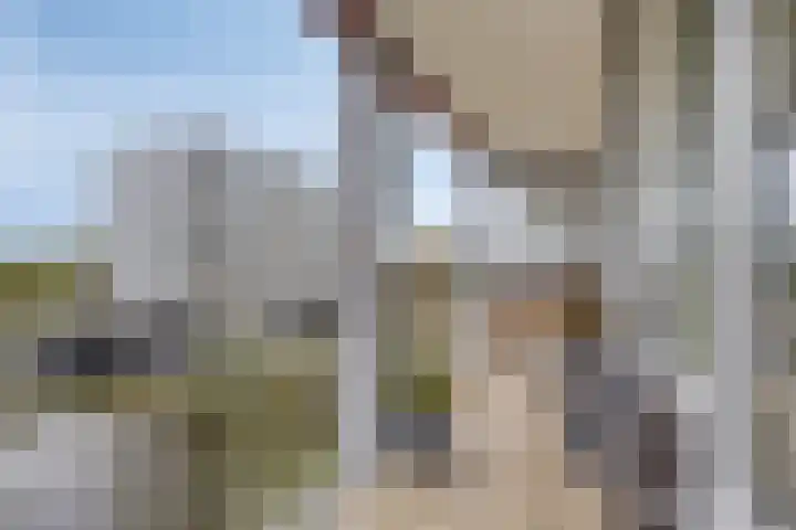 Jacob van Campenlaan 56 Leiden thumbnail 6