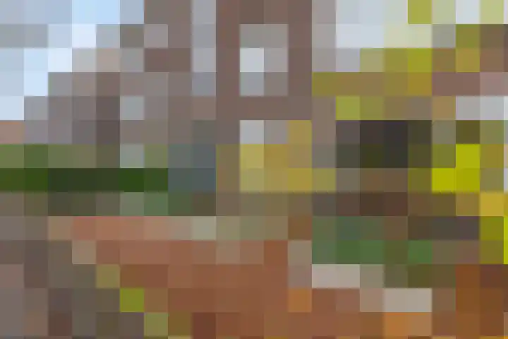 Jacob van Campenlaan 60 Hilversum thumbnail 10