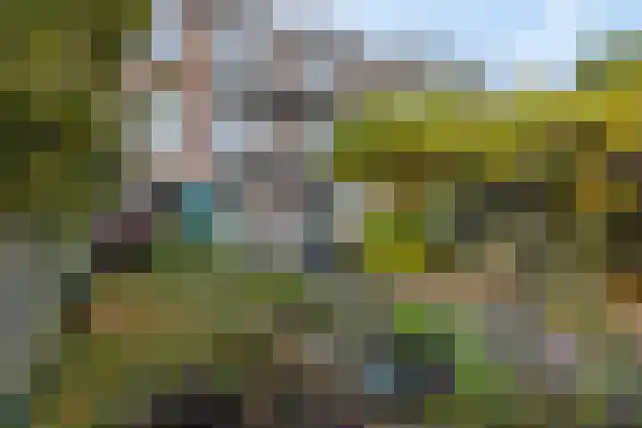Jacob van Campenlaan 60 Hilversum thumbnail 38