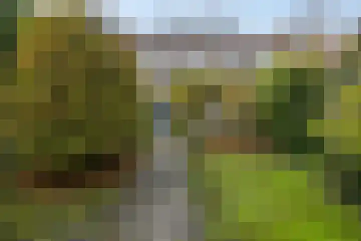 Jacob van Campenlaan 60 Hilversum thumbnail 39