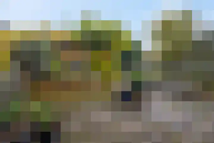 Jacob van Campenlaan 60 Hilversum thumbnail 42