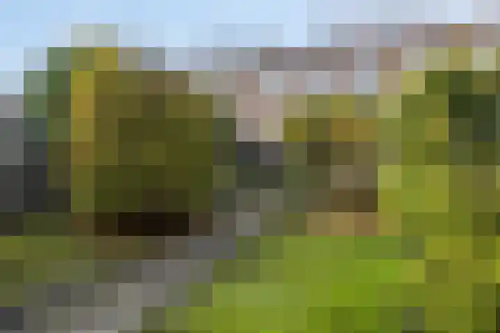 Jacob van Campenlaan 60 Hilversum thumbnail 5