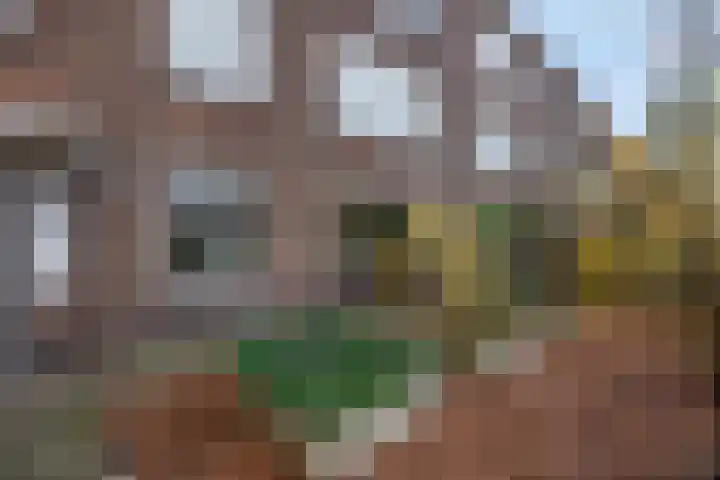 Jacob van Campenlaan 60 Hilversum thumbnail 9