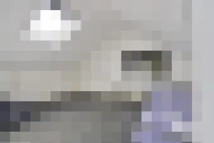 Jacob van Campenlaan 64 Hilversum thumbnail 15