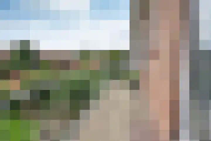 Jacob van Campenlaan 64 Hilversum thumbnail 17