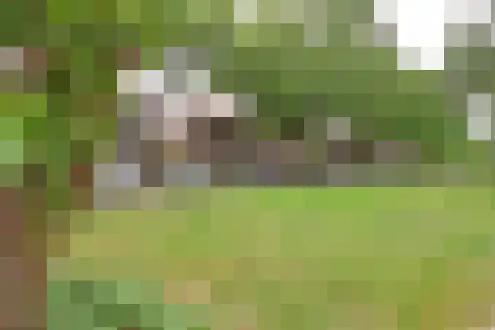 Jacob van Campenlaan 64 Hilversum thumbnail 18