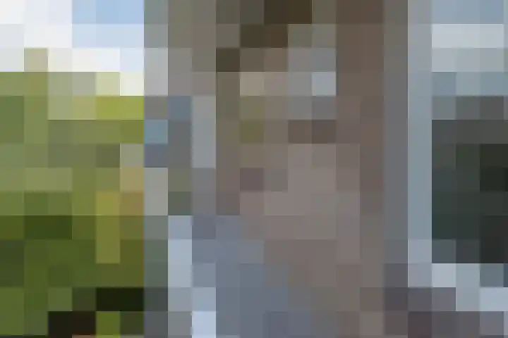 Jacob van Campenlaan 75 Hilversum thumbnail 11