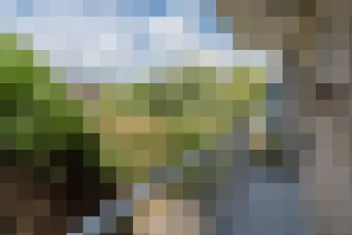 Jacob van Campenlaan 75 Hilversum thumbnail 12