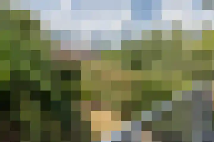Jacob van Campenlaan 75 Hilversum thumbnail 13