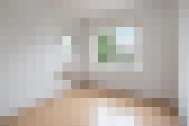 Jacob van Campenlaan 75 Hilversum thumbnail 6