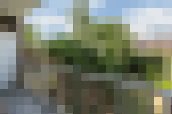 Jacob van Campenlaan 75 Hilversum thumbnail 9