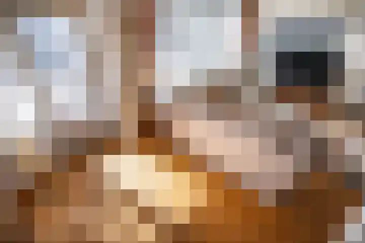 Jacob van Campenlaan 76 Leiden thumbnail 12