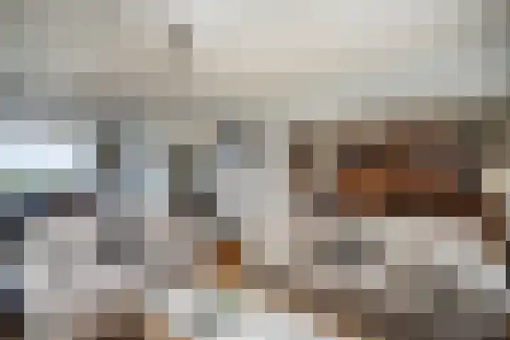 Jacob van Campenlaan 76 Leiden thumbnail 13