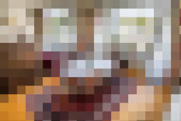 Jacob van Campenlaan 76 Leiden thumbnail 15