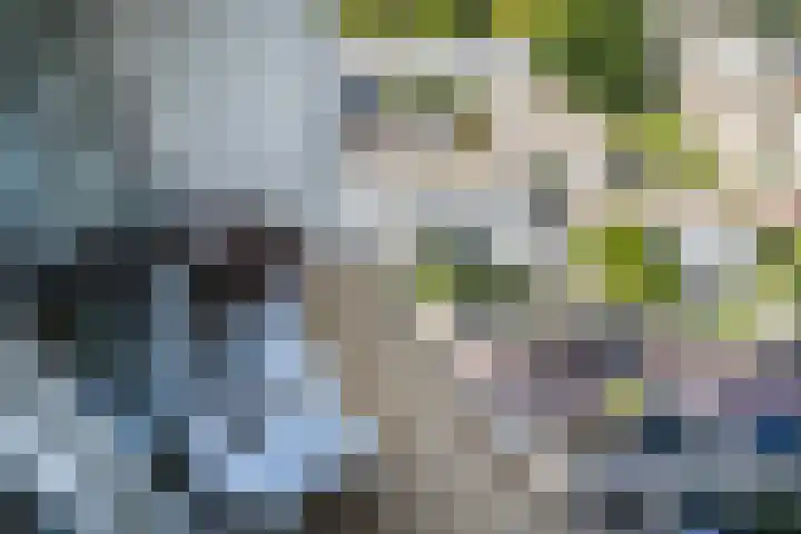 Jacob van Campenlaan 76 Leiden thumbnail 20