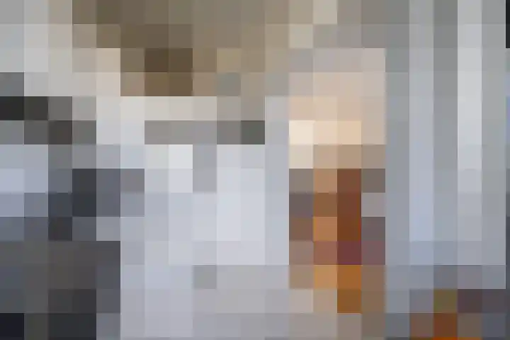 Jacob van Campenlaan 76 Leiden thumbnail 22