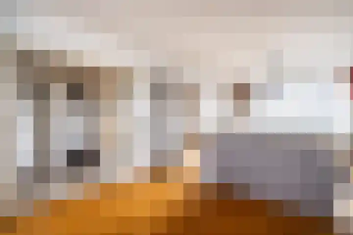 Jacob van Campenlaan 76 Leiden thumbnail 23
