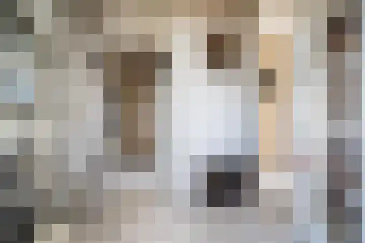 Jacob van Campenlaan 76 Leiden thumbnail 25
