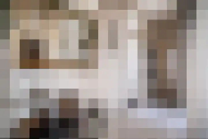 Jacob van Campenlaan 76 Leiden thumbnail 31