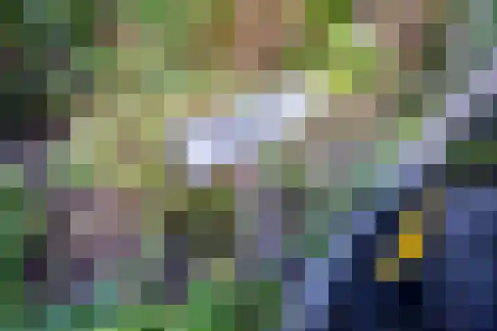 Jacob van Campenlaan 76 Leiden thumbnail 34