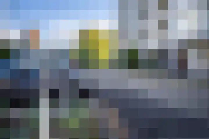 Jacob van Campenlaan 76 Leiden thumbnail 35