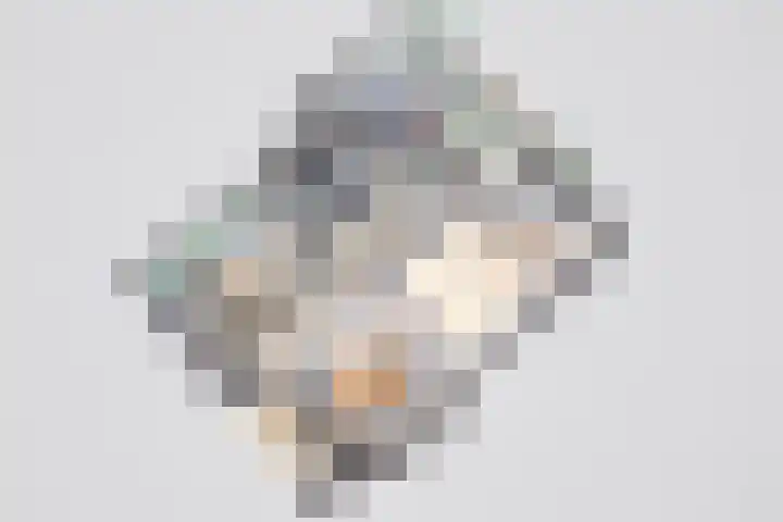 Jacob van Campenlaan 76 Leiden thumbnail 38