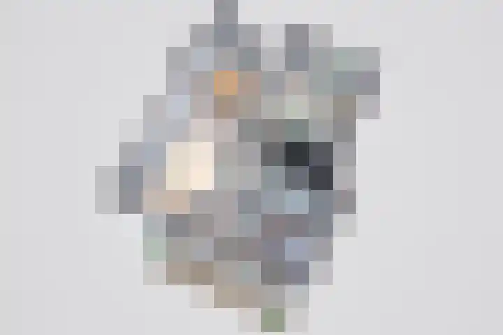Jacob van Campenlaan 76 Leiden thumbnail 39