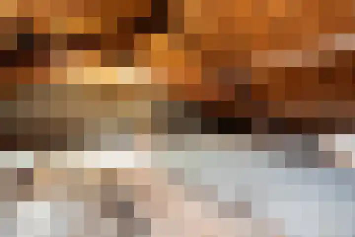 Jacob van Campenlaan 89 Hilversum thumbnail 4
