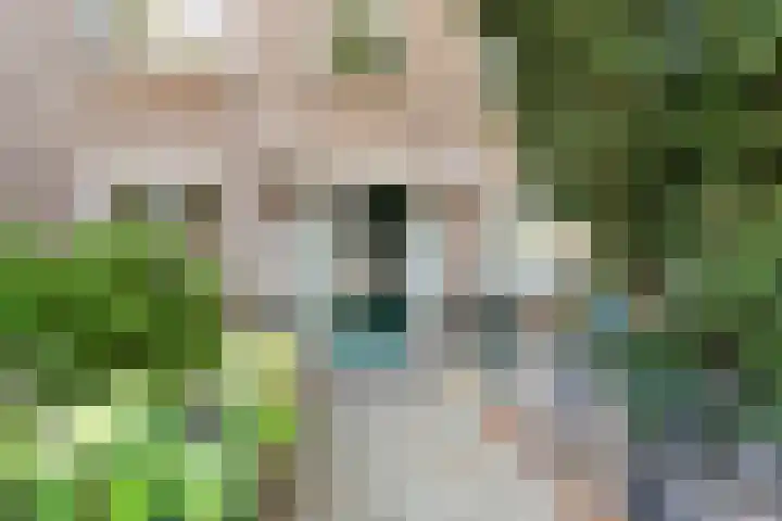 Jacob van Campenlaan 89 Hilversum thumbnail 6