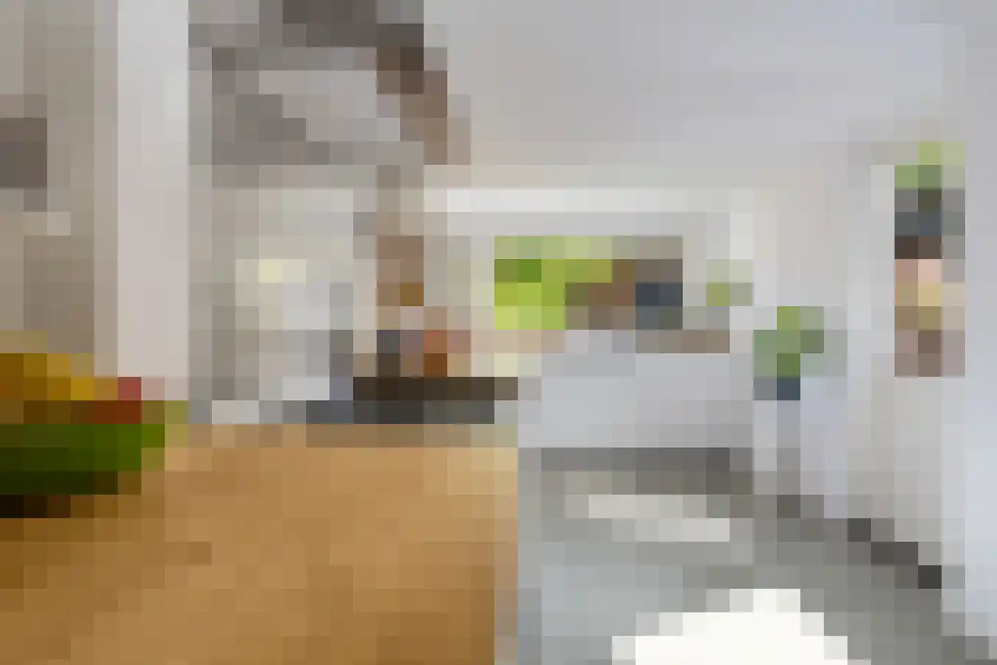 Jacob van Campenstraat 16 Tilburg thumbnail 16