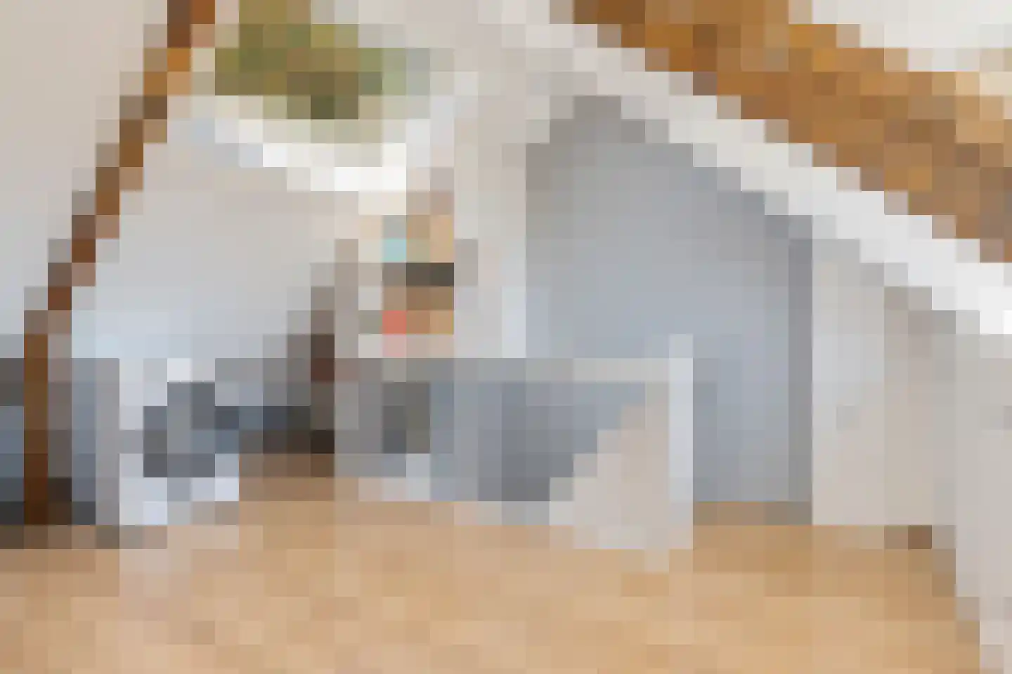 Jacob van Campenstraat 16 Tilburg thumbnail 20