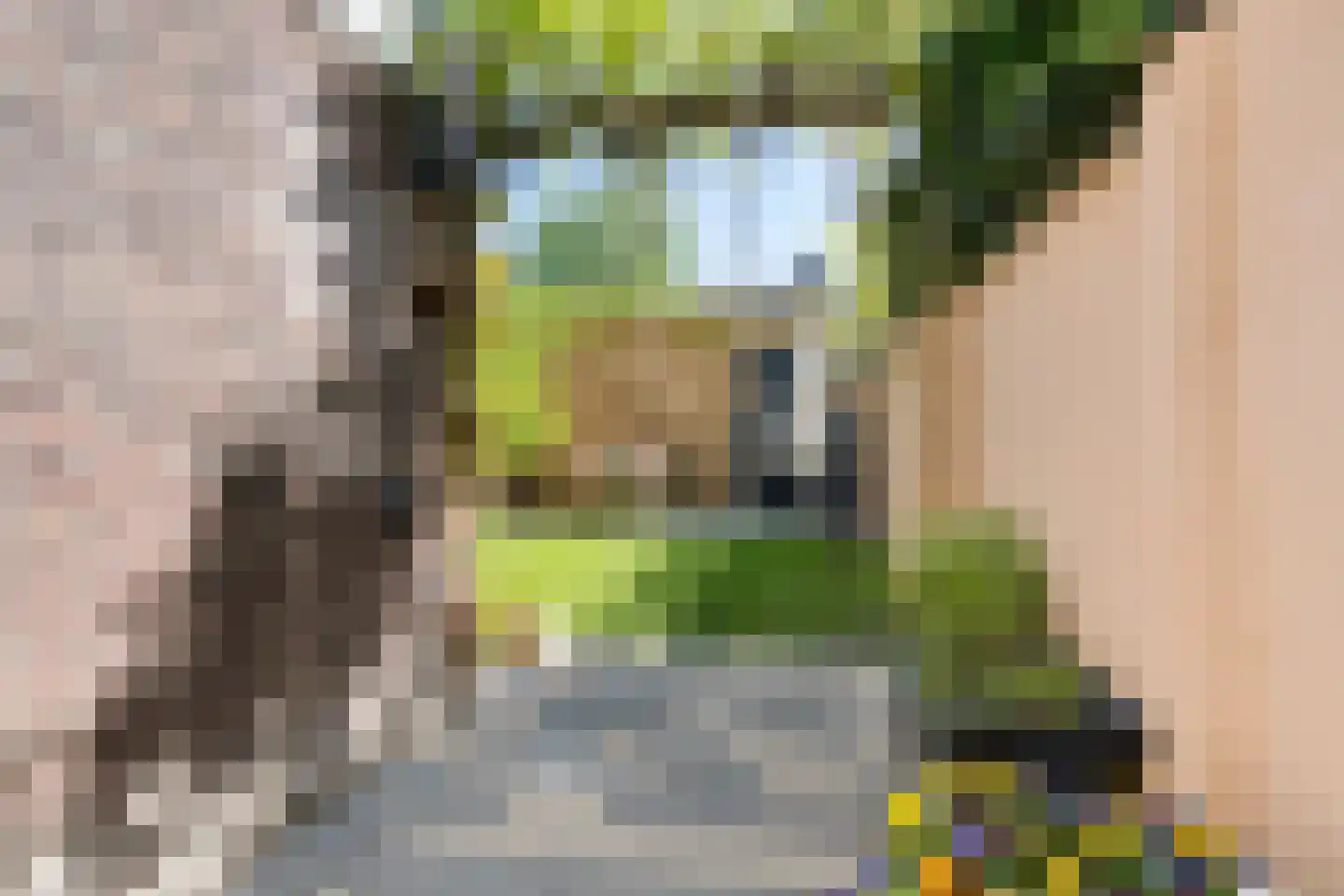 Jacob van Campenstraat 16 Tilburg thumbnail 33