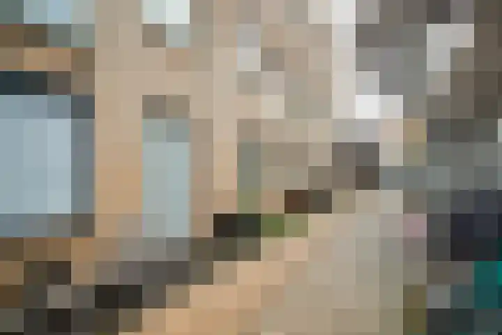 Jacob van Campenstraat 2 D Utrecht thumbnail 25