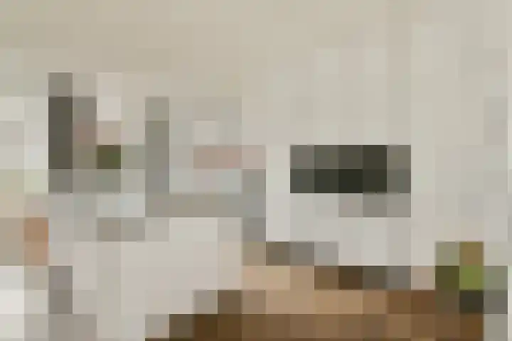 Jacob van Campenstraat 22 Heemstede thumbnail 7