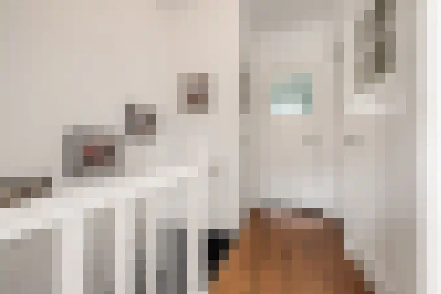 Jacob van Campenstraat 55 Heemstede thumbnail 36