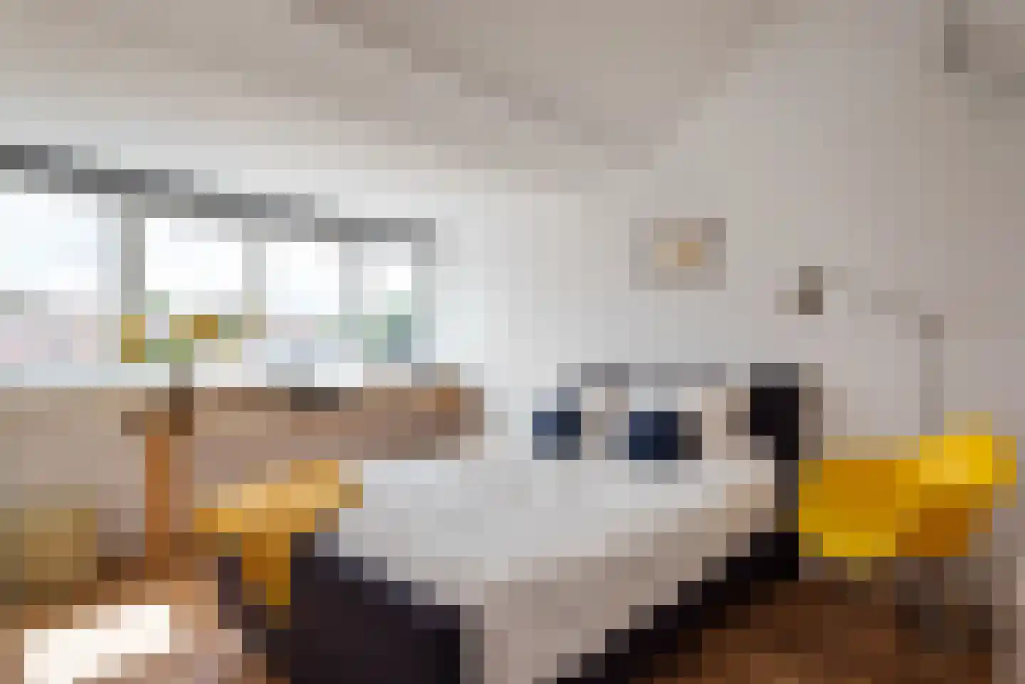 Jacob van Campenstraat 55 Heemstede thumbnail 38