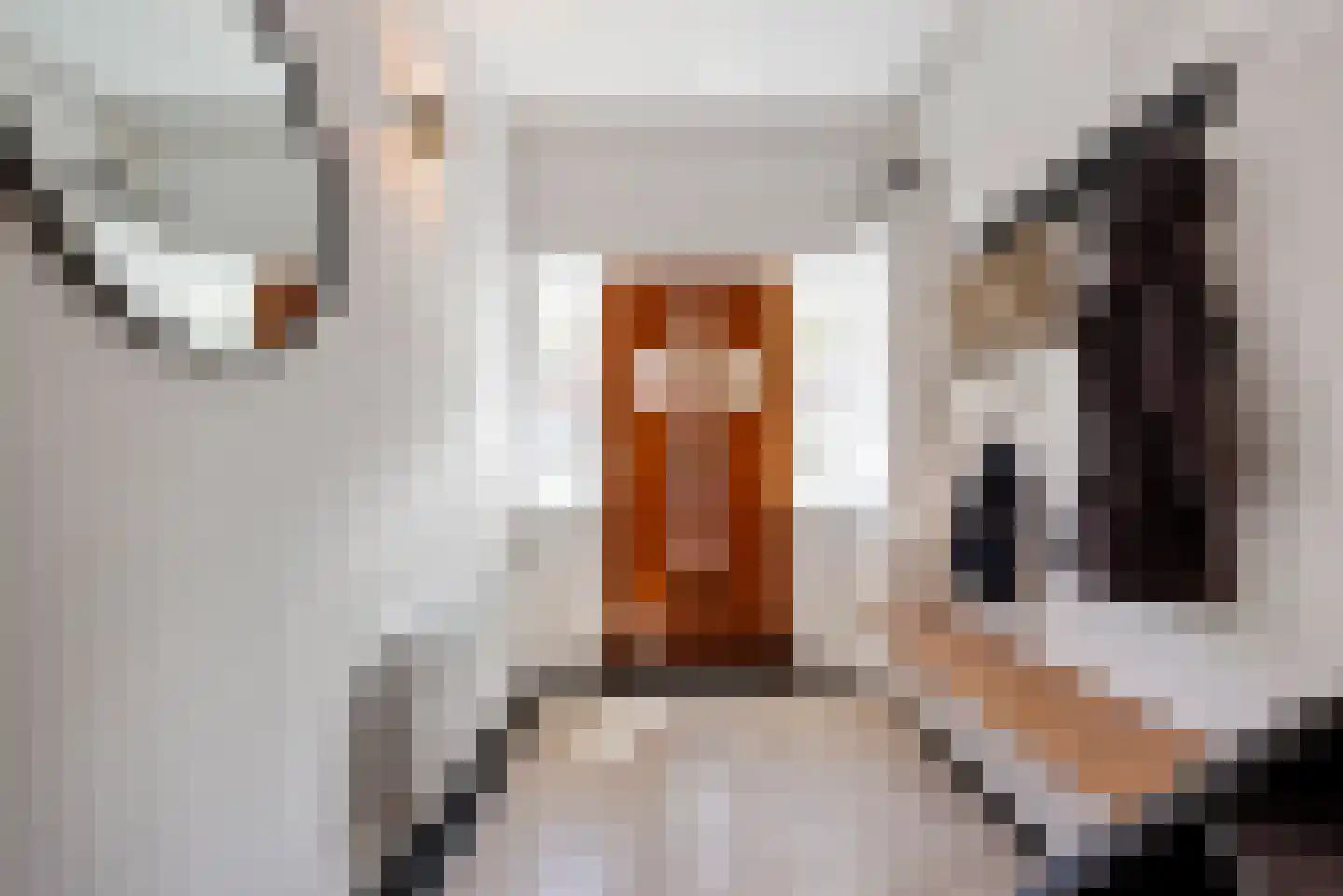 Jacob van Campenstraat 55 Heemstede thumbnail 6